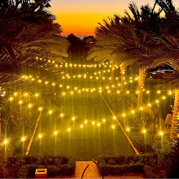 Meet your Posher, Oisaeu Haus - Picture 1 of 1